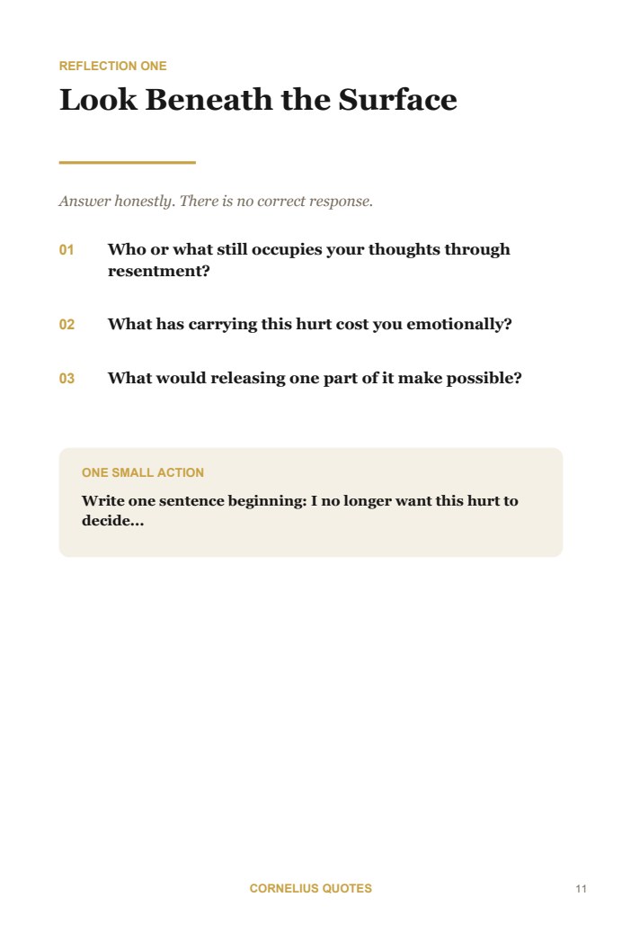 Guided reflection questions from the journal
